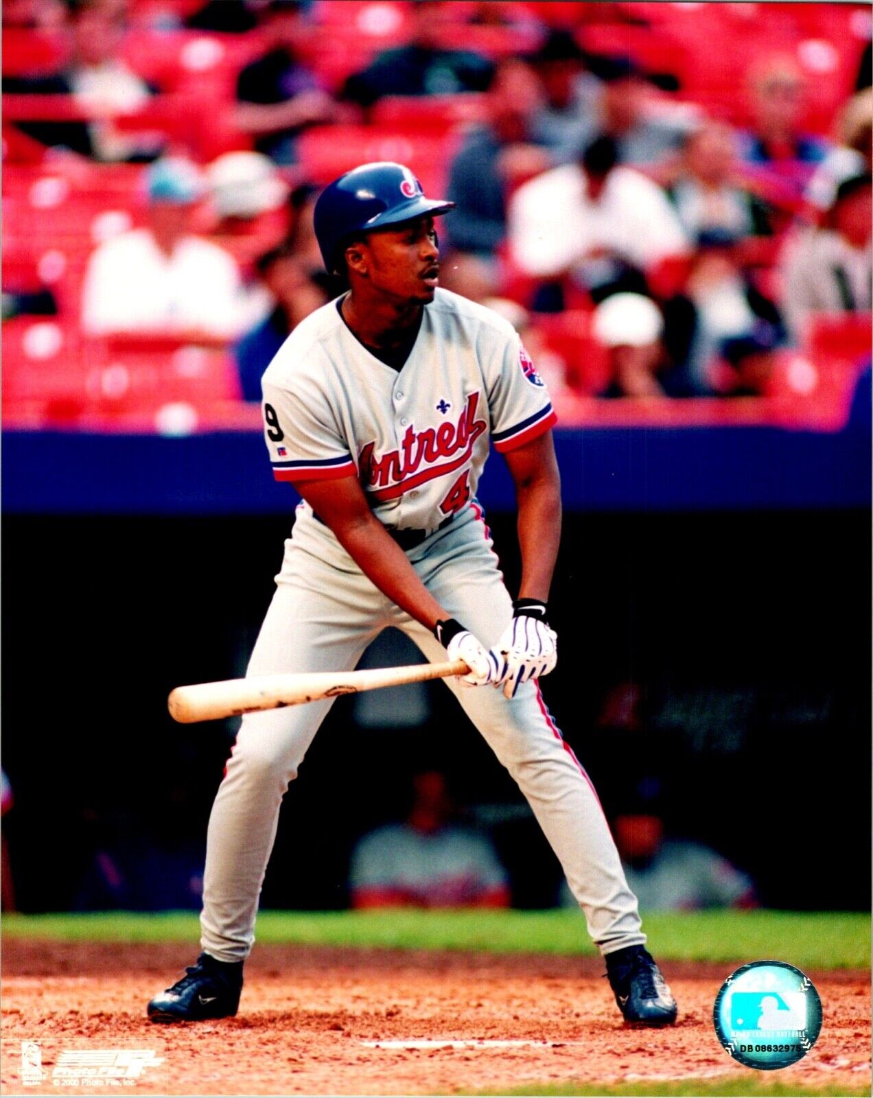 Wilton Guerrero Montreal Expos MLB Sports 8x10 Color Photo B with MLB Hologram