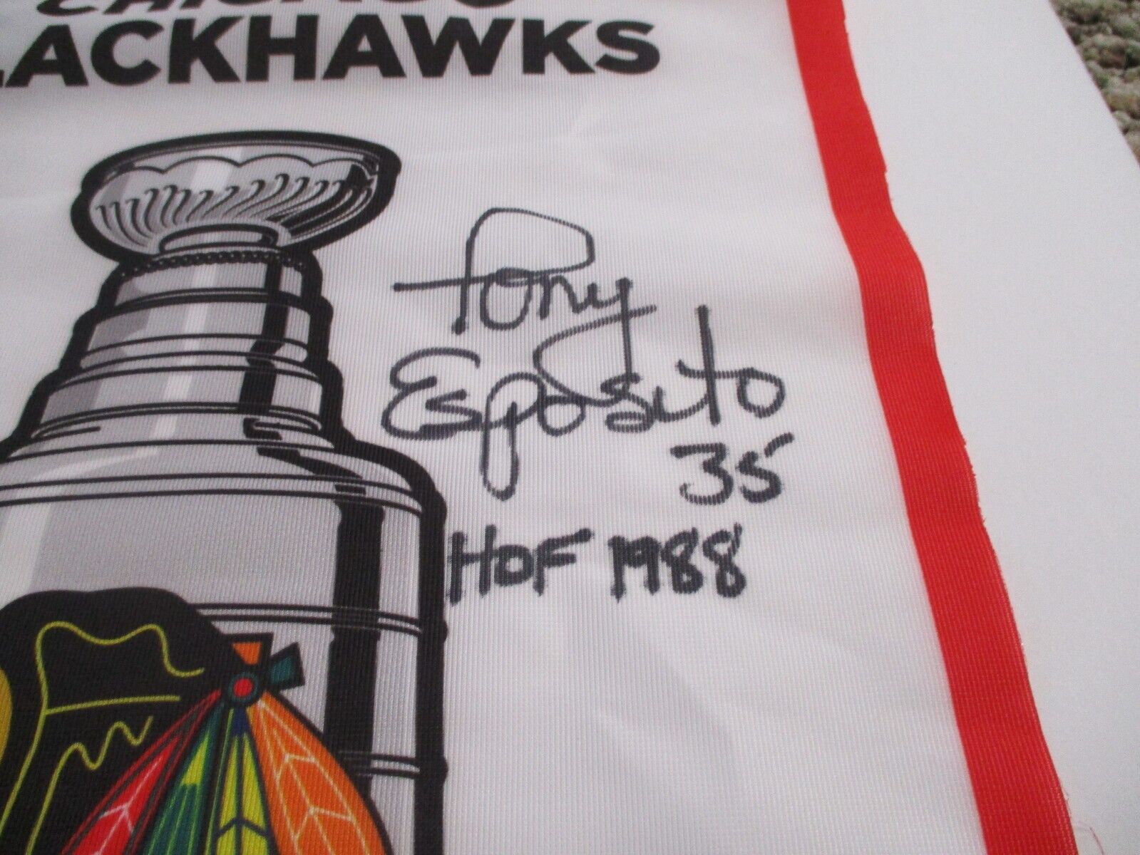 Tony Esposito signed autographed Blackhawks Stanley Cup Champs 2010 Flag PSA