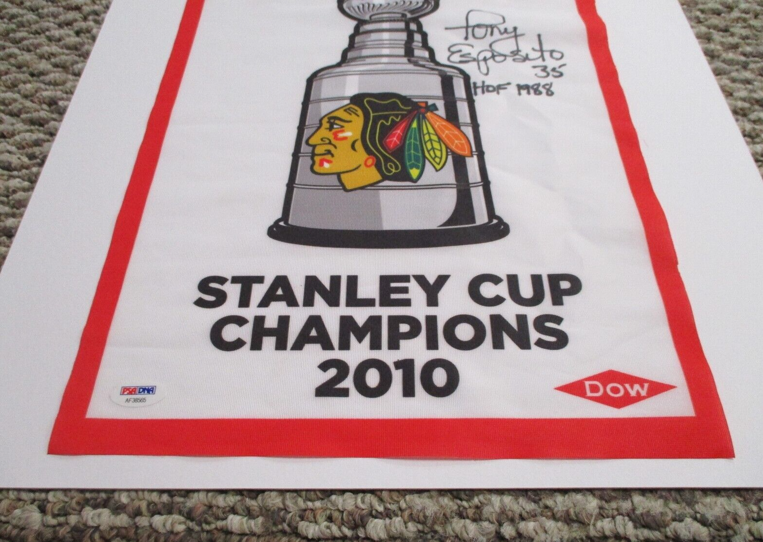 Tony Esposito signed autographed Blackhawks Stanley Cup Champs 2010 Flag PSA