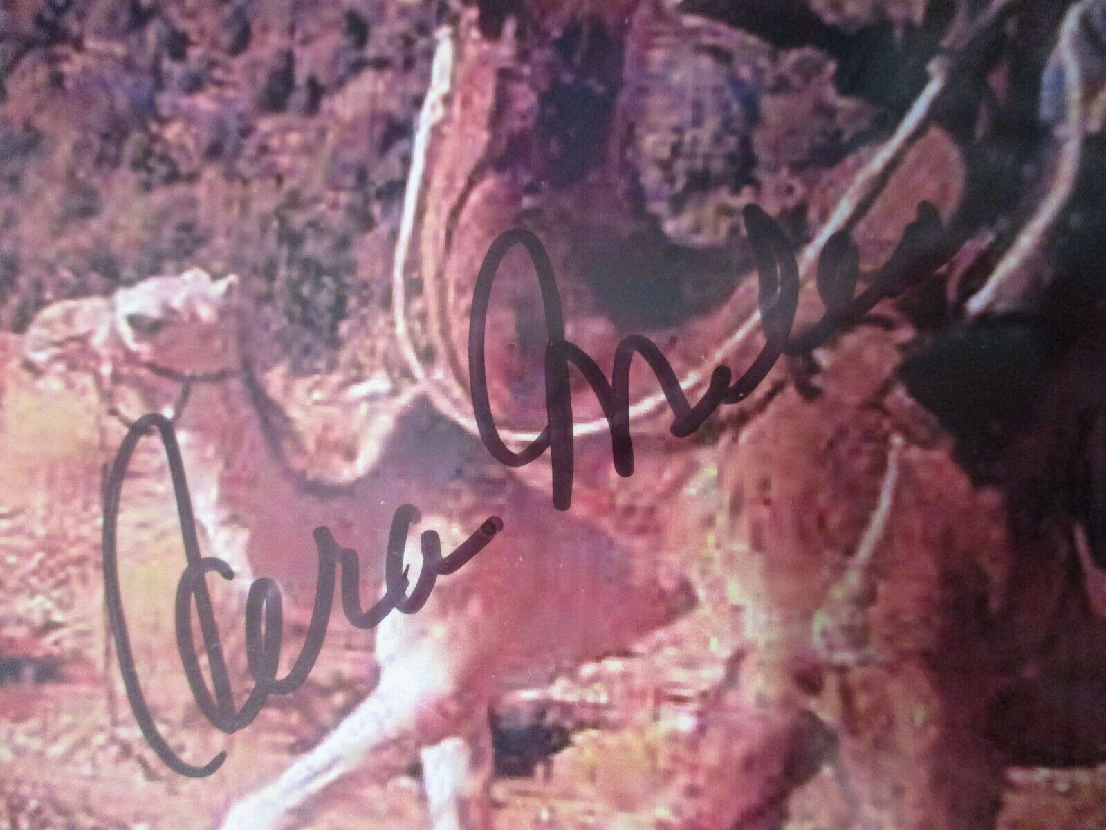 James Garner Vera Miles One Little Indian Sign Autographed 8x10 Color Photo JSA