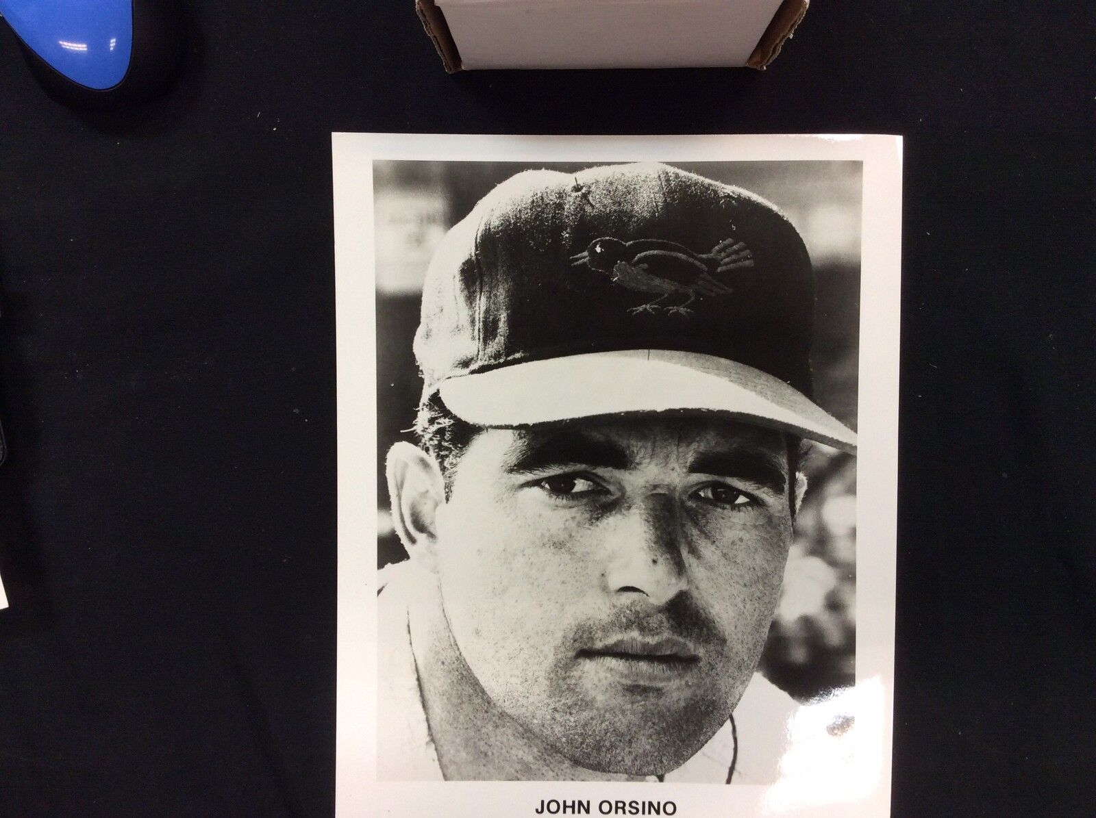 John Orsino Baltimore Orioles 8x10 B&W photo Tadder Team Issued photo