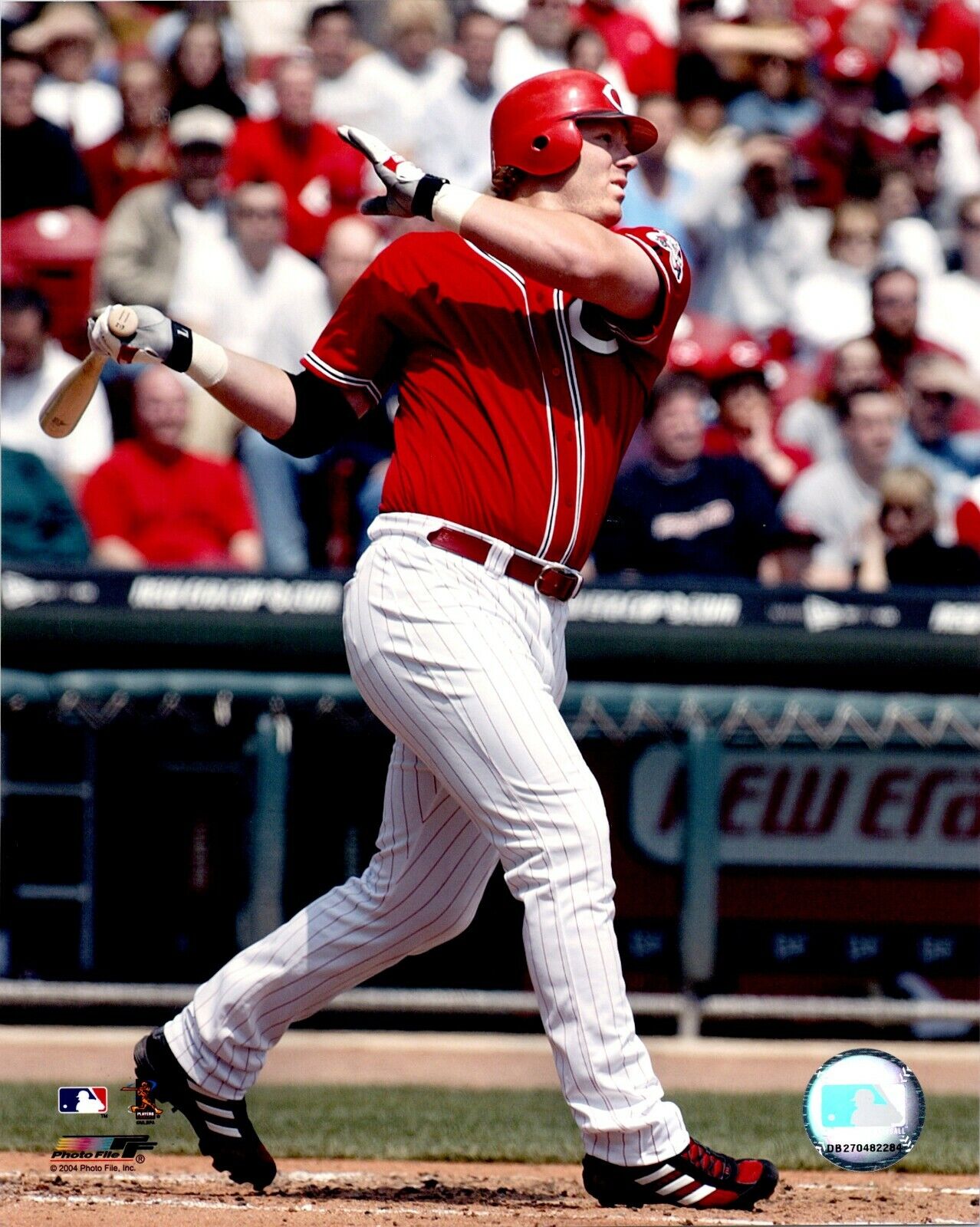 Adam Dunn  Cincinnati Reds  8x10 Color Photo