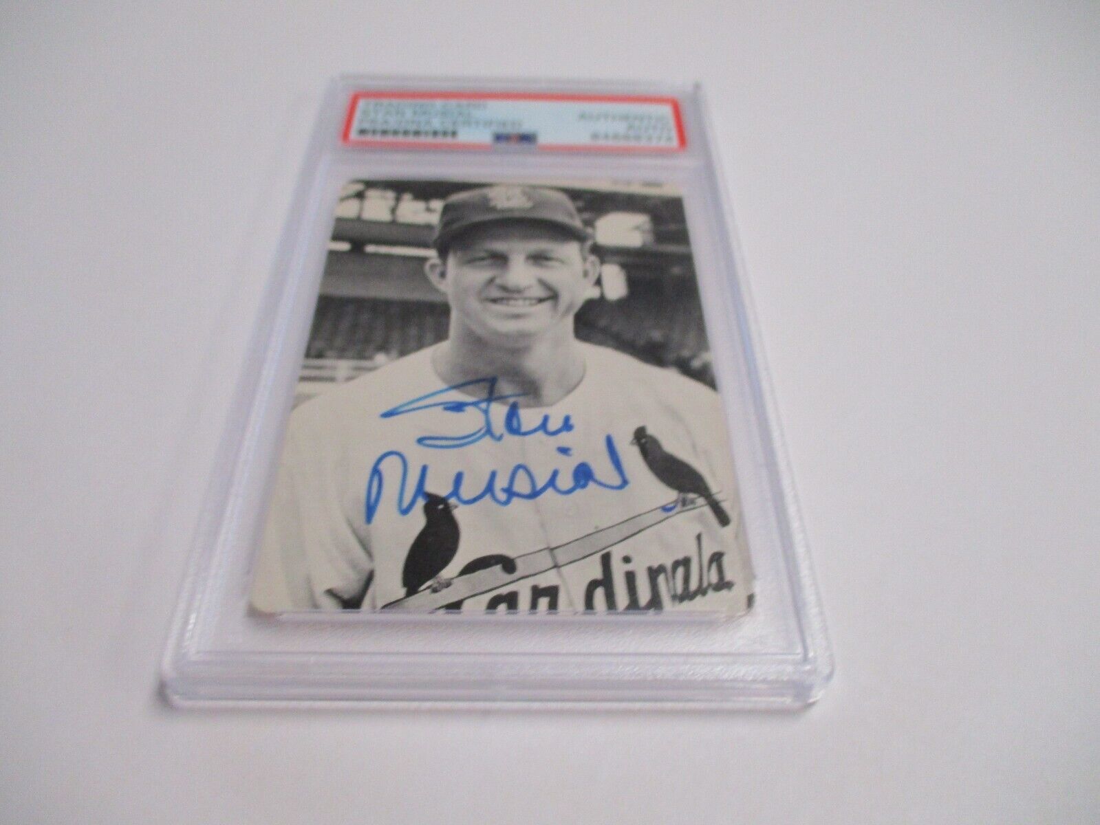 Stan Musial Cardinals MLB Autographed 1982 Baseball Card News Card PSA Slab