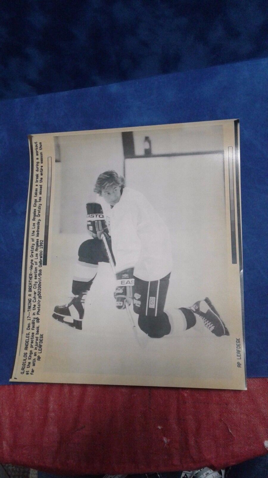 Wayne Gretsky 7x81/2 AP Photo Leaf Desk