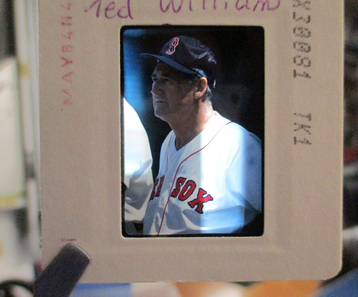 Ted Williams Boston Red Sox Original 35mm Slide Photo Kodachrome Slide