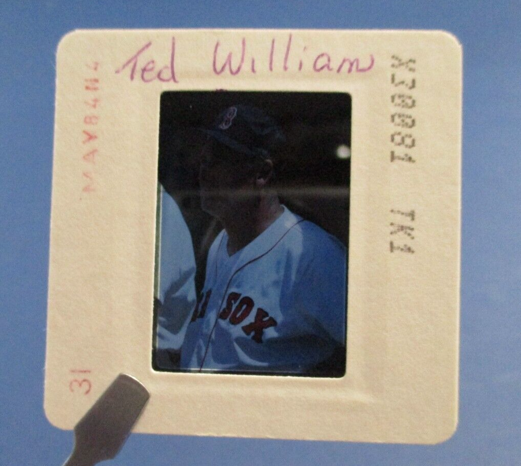 Ted Williams Boston Red Sox Original 35mm Slide Photo Kodachrome Slide