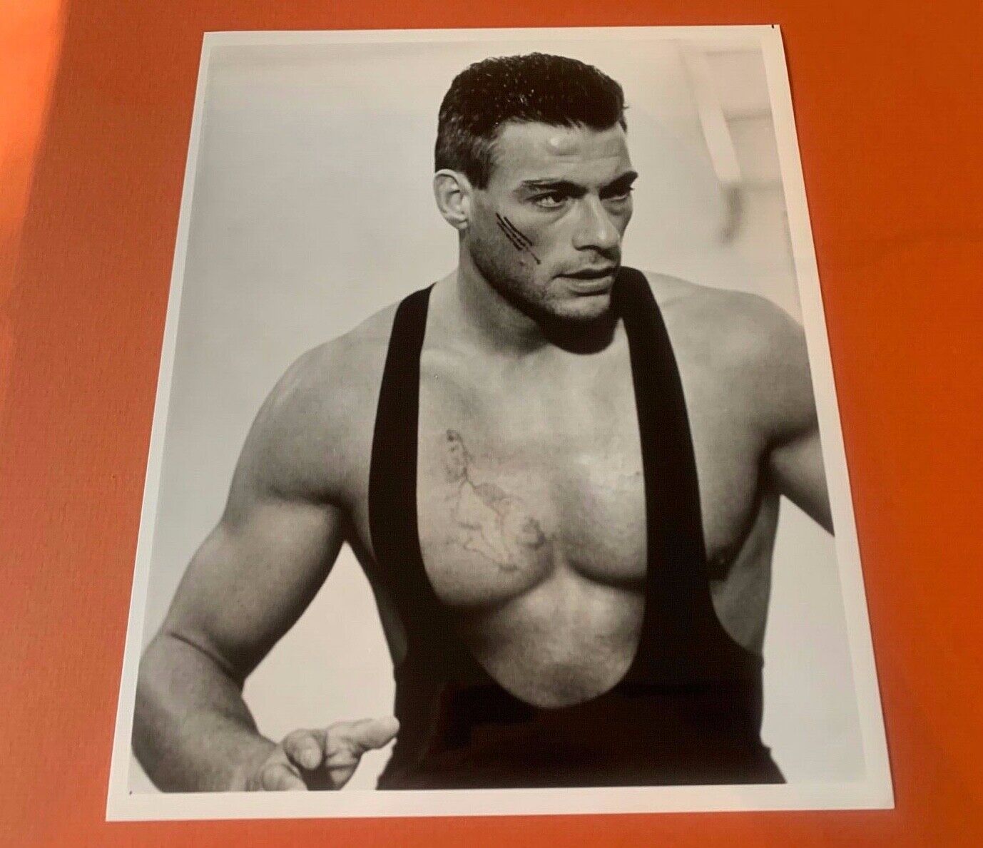 John Claude Vandamme Unsigned Vintage Publicity Photo Size 8x10 B&W Celebrity