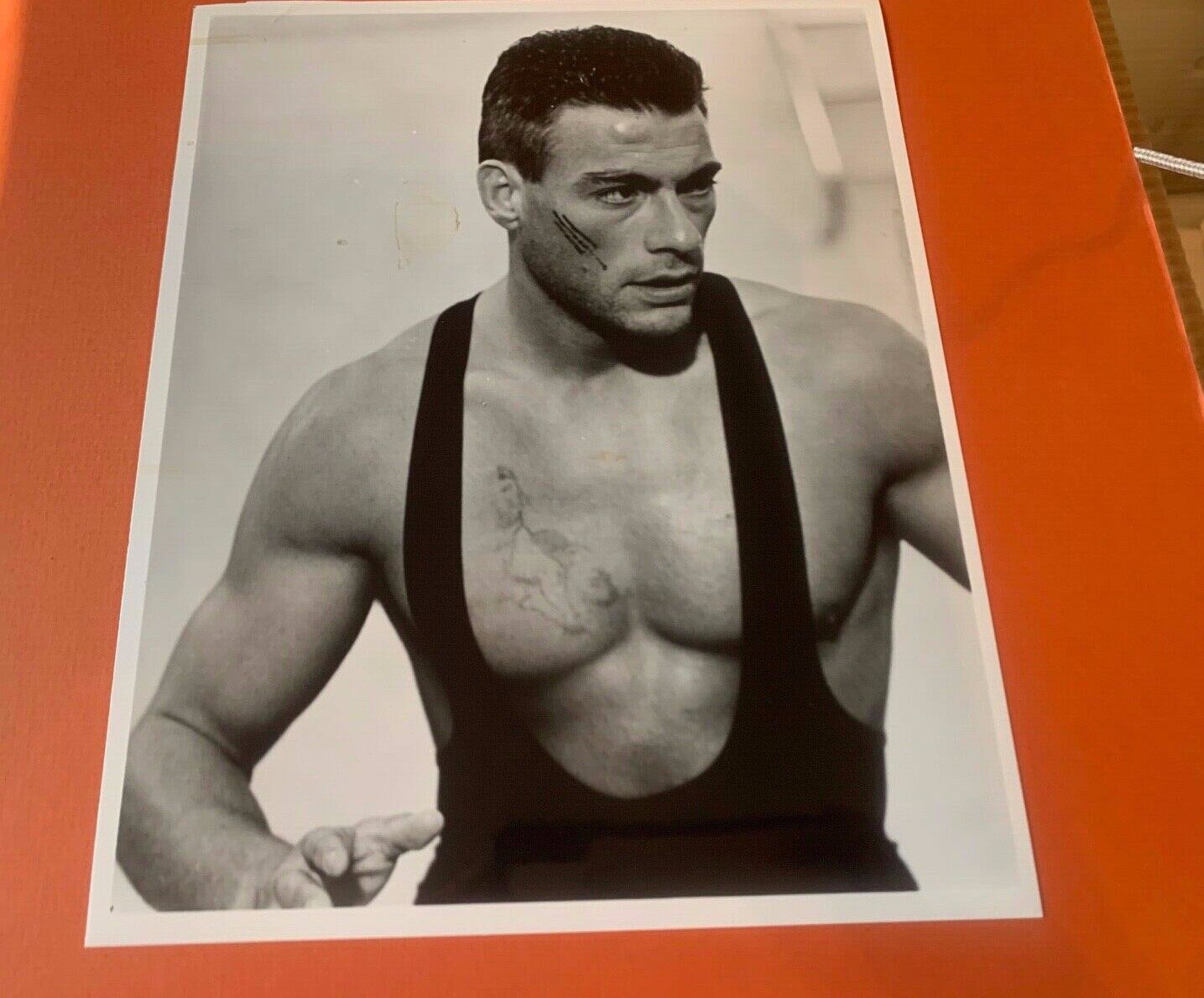 John Claude Vandamme Unsigned Vintage Publicity Photo Size 8x10 B&W Celebrity