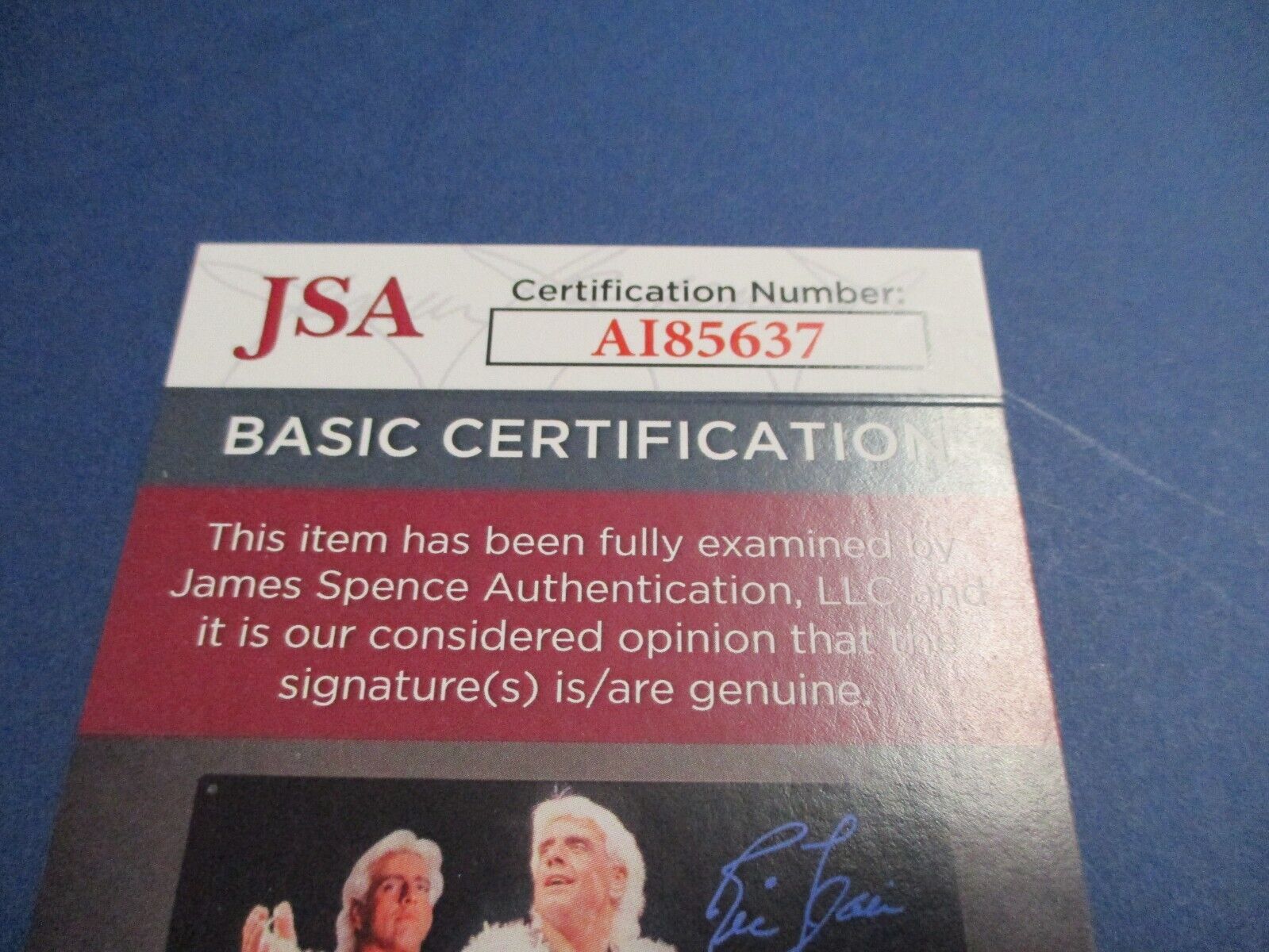 Richard Dreyfuss Autographed Jaws Hooper Figurine JSA COA #AI85637