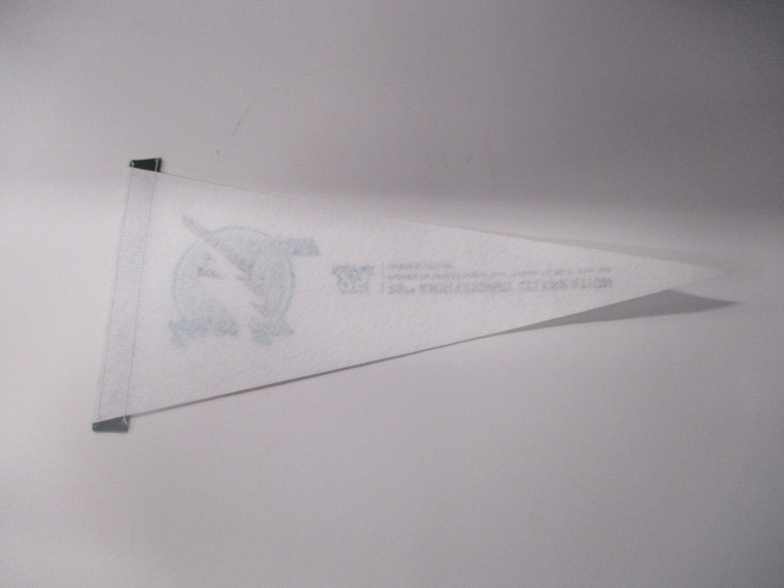 Tampa Bay Lightning 25th Anniversary Celebration Official Mini Pennant 18 inch