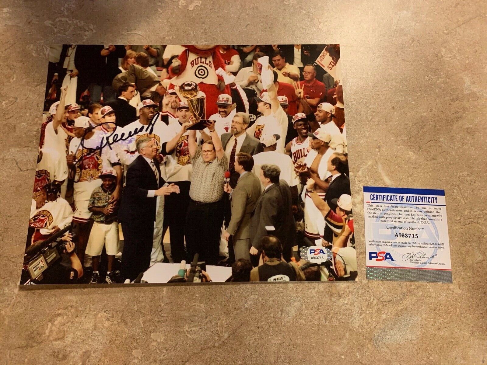 Jerry Reinsdorf Chicago Bulls Coach Autographed 8x10 Photo PSA COA #AI63715