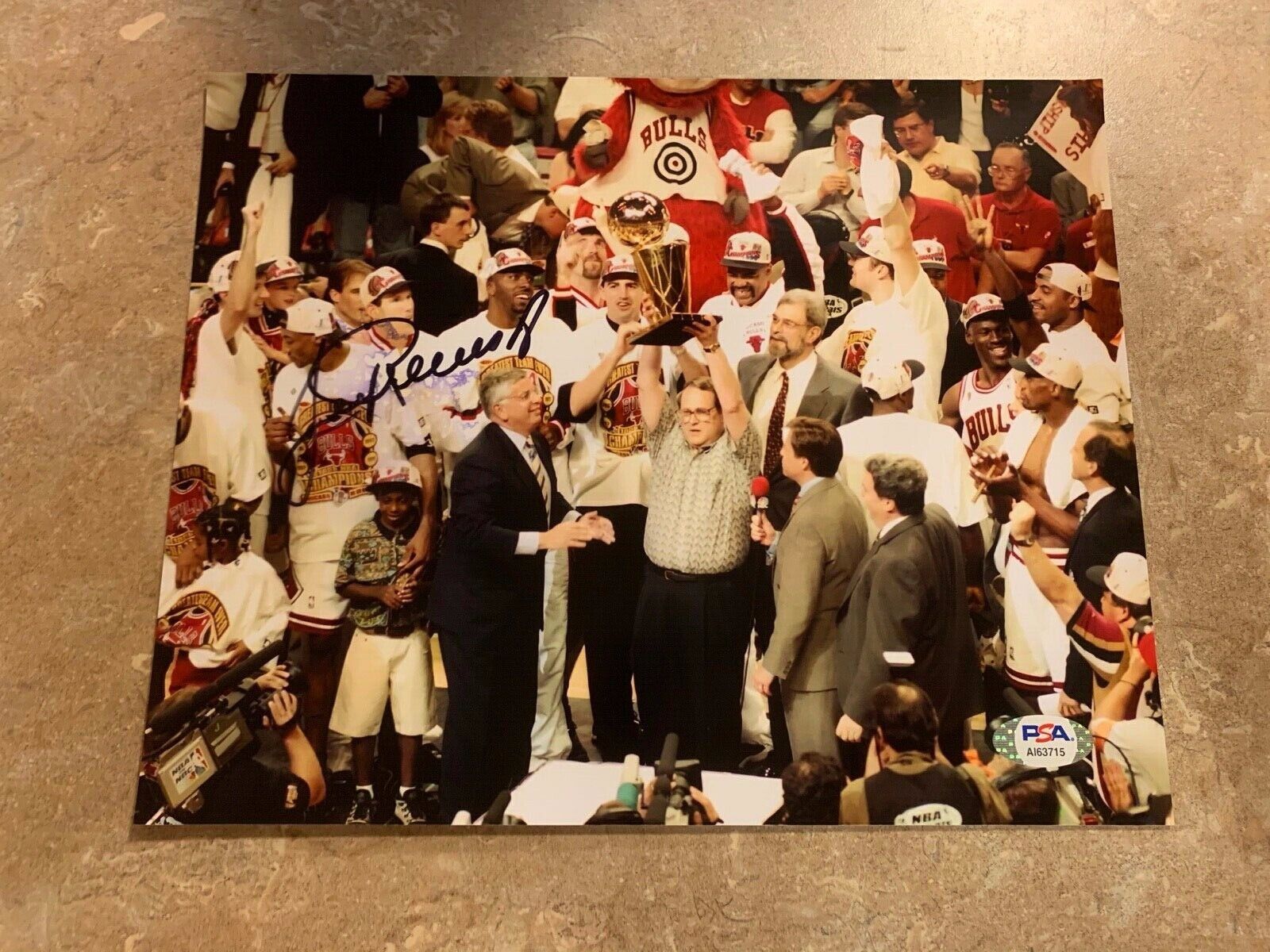 Jerry Reinsdorf Chicago Bulls Coach Autographed 8x10 Photo PSA COA #AI63715