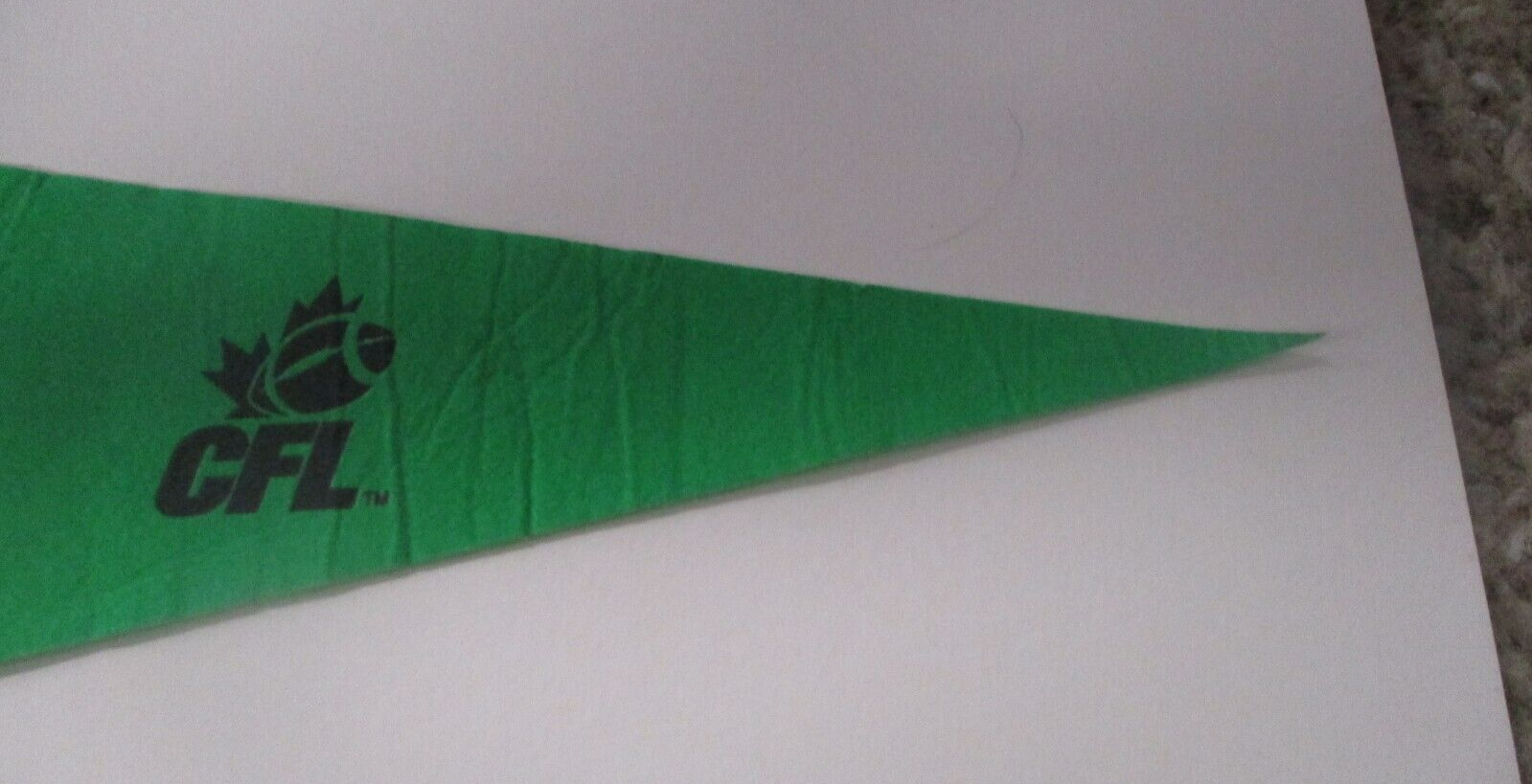 Saskatchewan Roughriders CFL Wincraft Official 2007 Flag Pennant Made in the USA