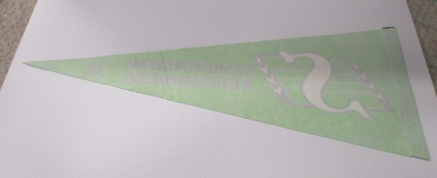 Saskatchewan Roughriders CFL Wincraft Official 2007 Flag Pennant Made in the USA