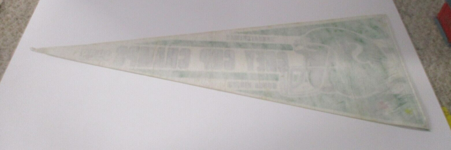 Saskatchewan Roughriders 1989 Grey Cup Champs CFL Flag Pennant