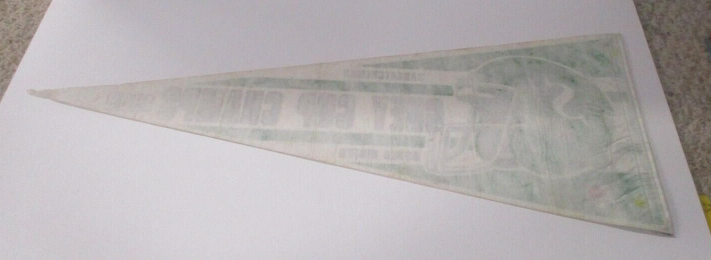 Saskatchewan Roughriders 1989 Grey Cup Champs CFL Flag Pennant