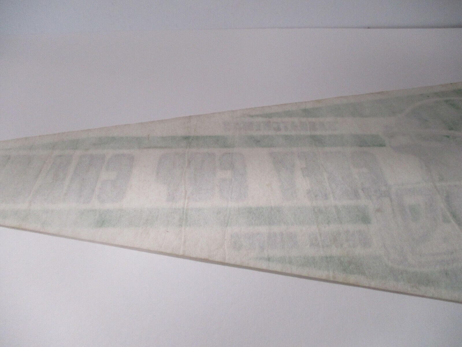 Saskatchewan Roughriders 1989 Grey Cup Champs CFL Flag Pennant