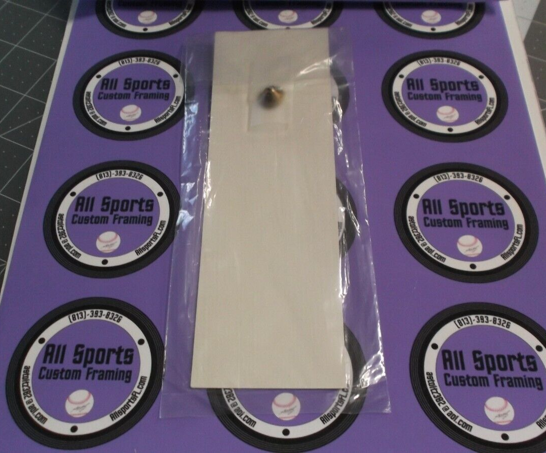 Tampa Bay Devil Rays First Pitch Official Pin by Sports Channel Sealed in Pack