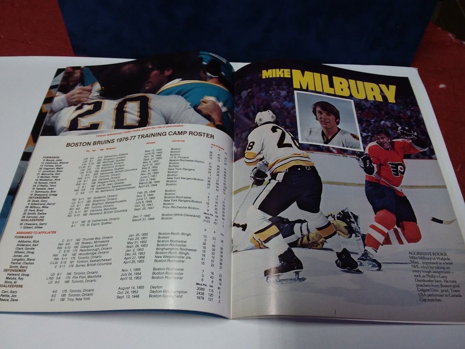 Boston Bruins, 1976 - 77 Yearbook, Brad Park on Cover, Excellent condition