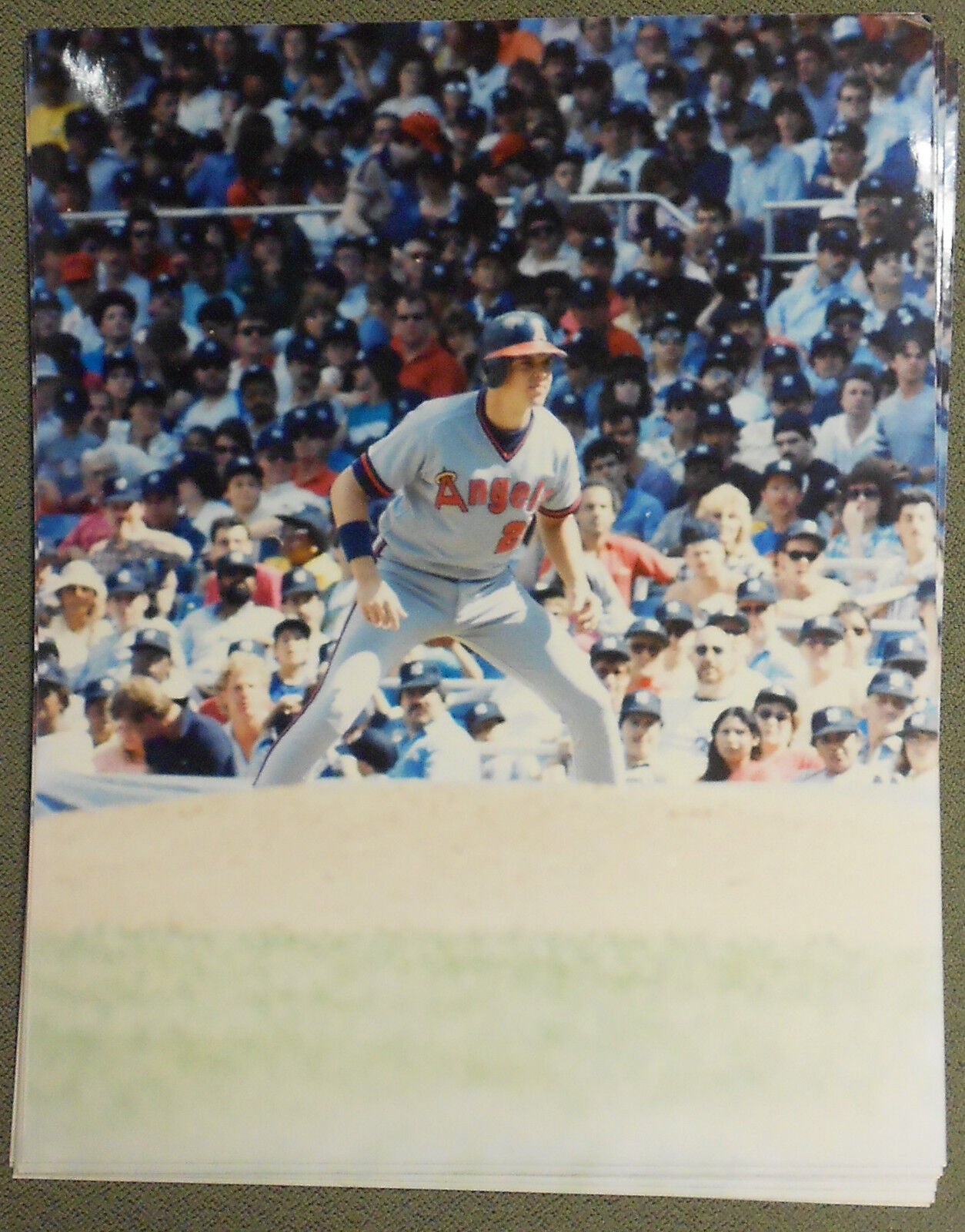 Wally Joyner ANGELS  8x10 Color Photo Wallyworld  Photo 4