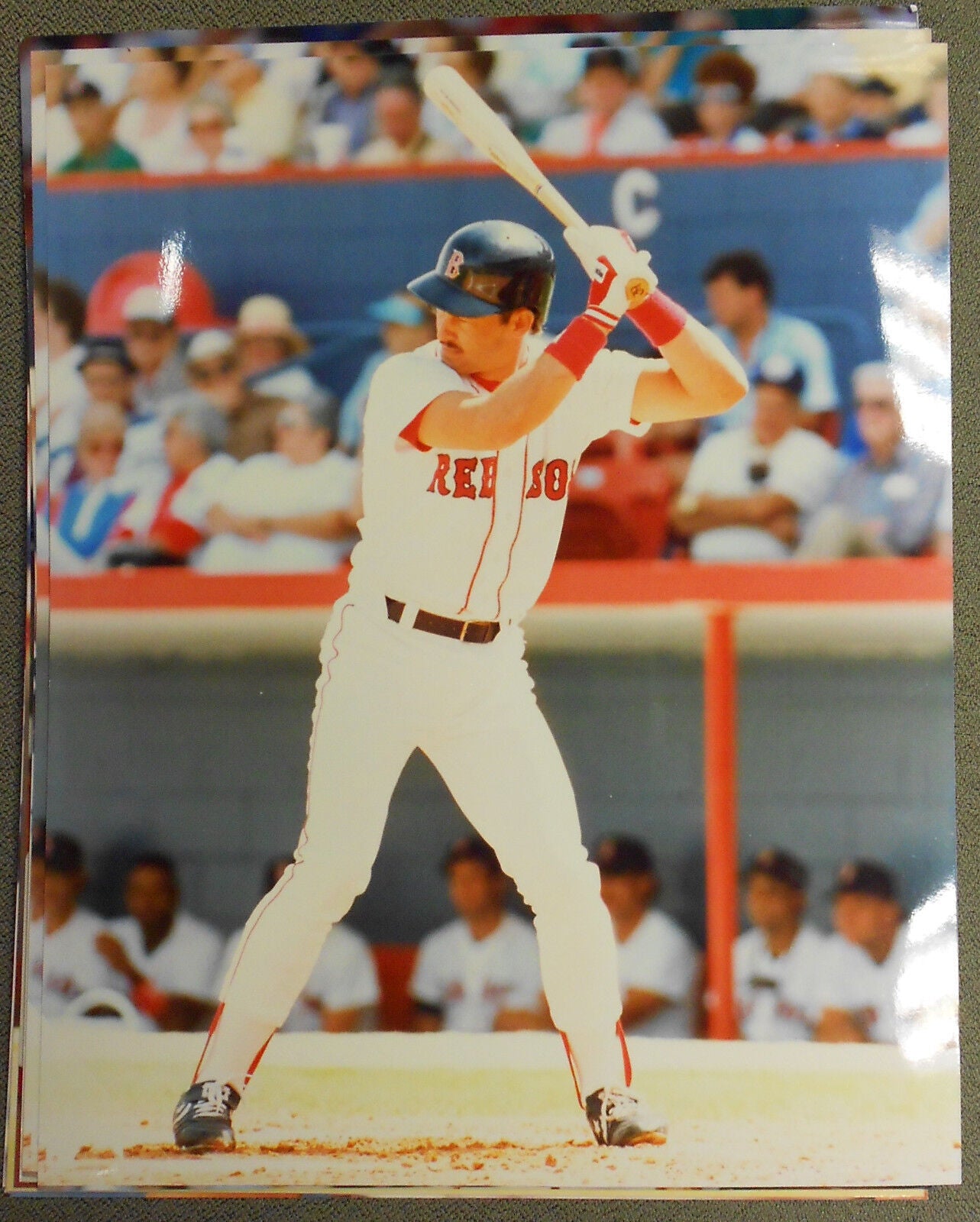 Mike Greenwell Boston Red Sox 8x10 Color Photo GATOR  Photo 5