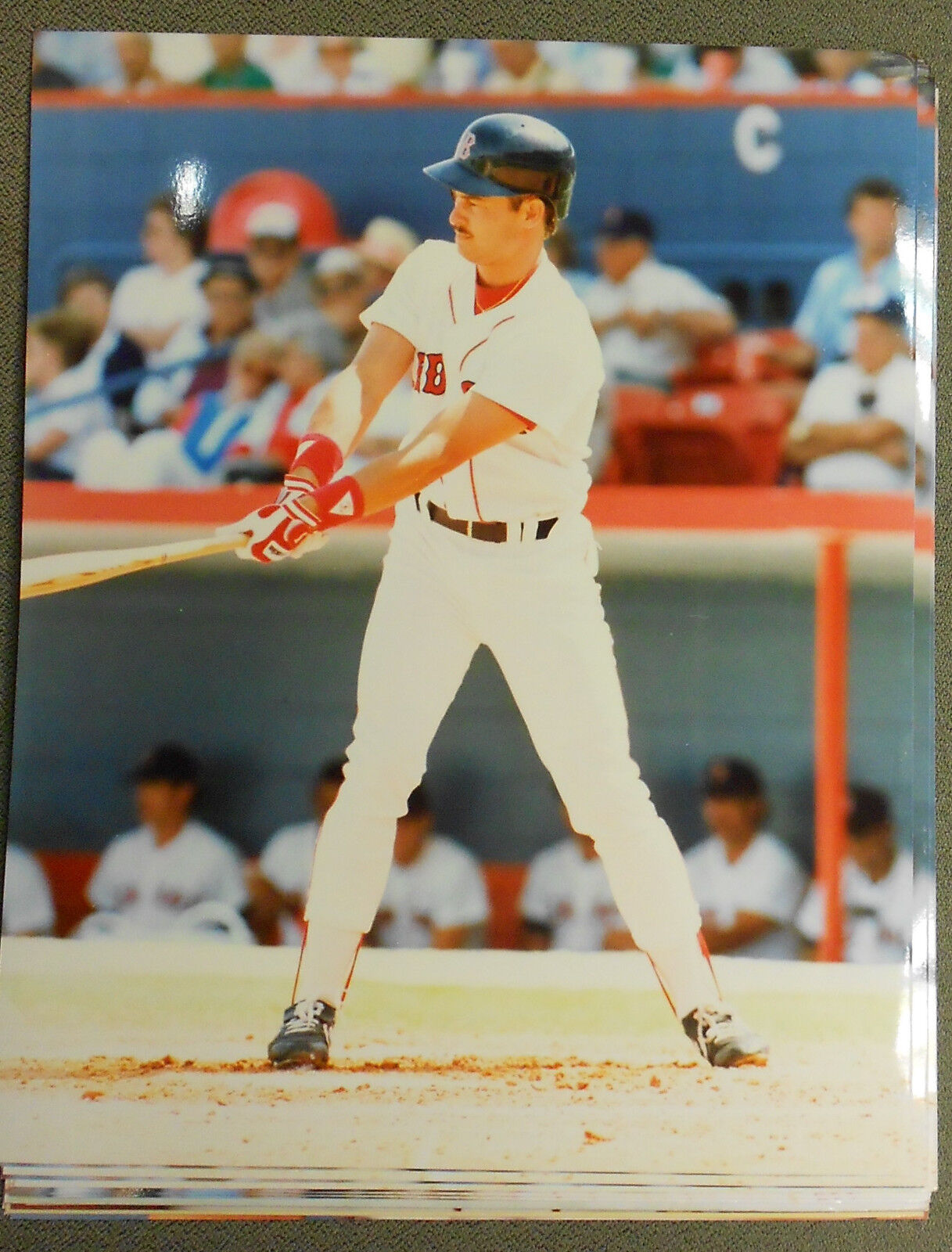 Mike Greenwell Boston Red Sox 8x10 Color Photo GATOR  Photo 4