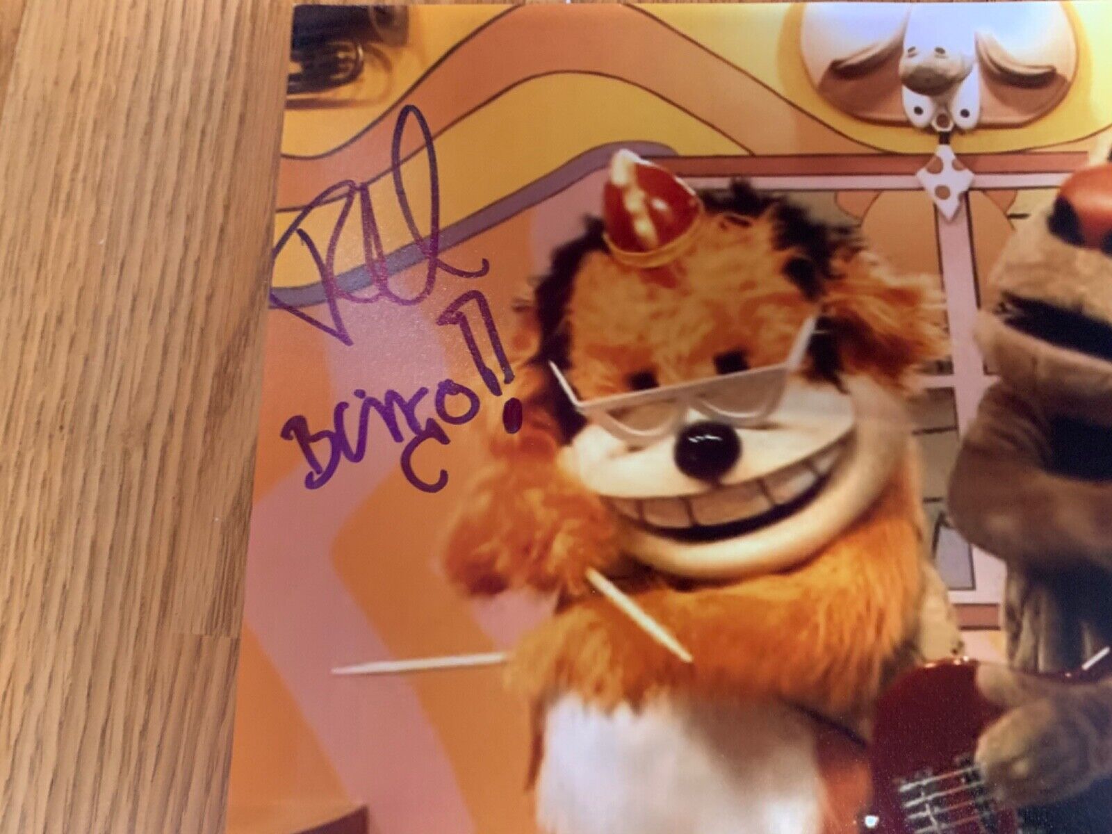 The Banana Splits Signed 16x20 Color Cast Photo JSA Ted, Dan & Robert