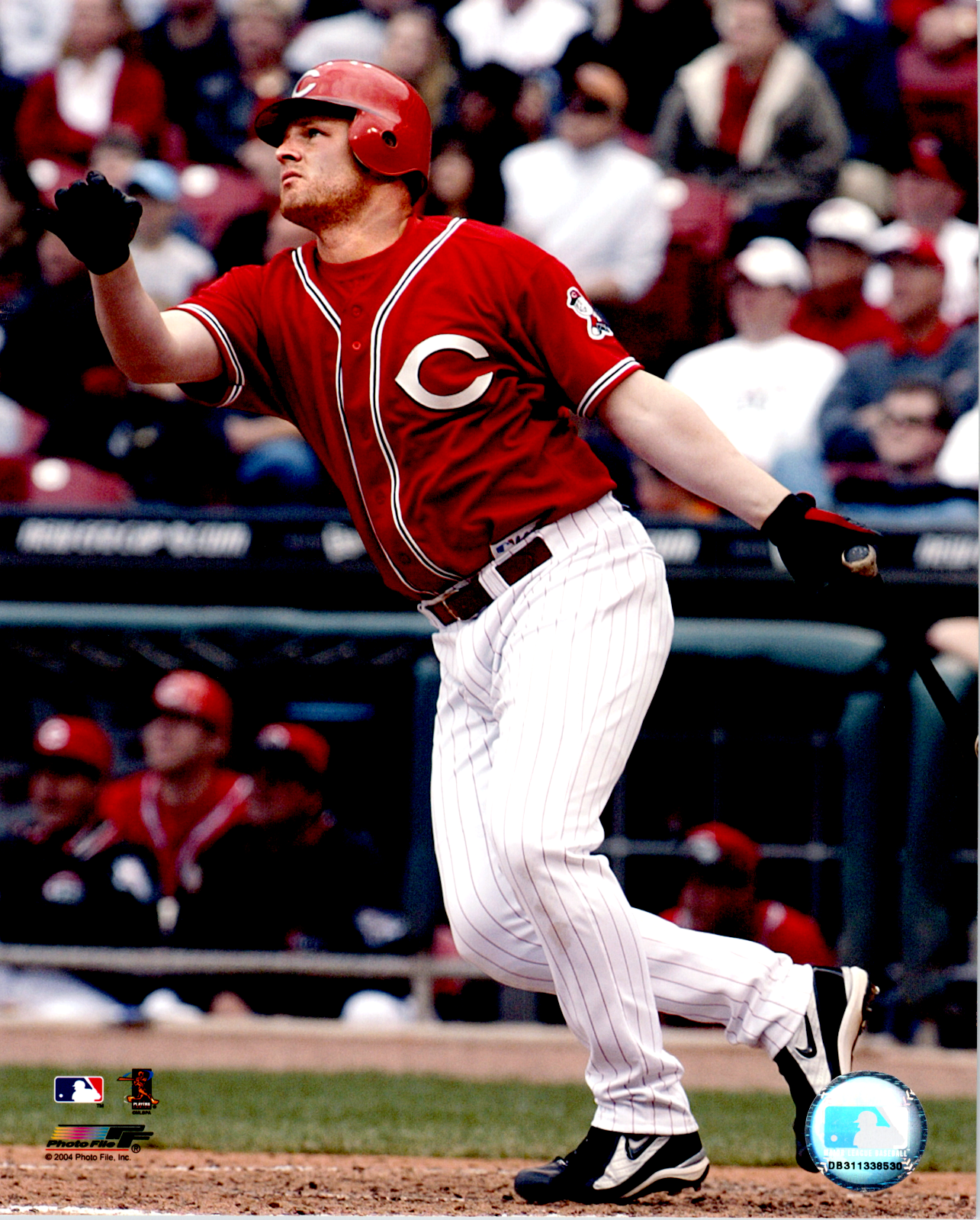 Adan Dunn Cincinnati Reds Unsigned 8x10 Color Photo