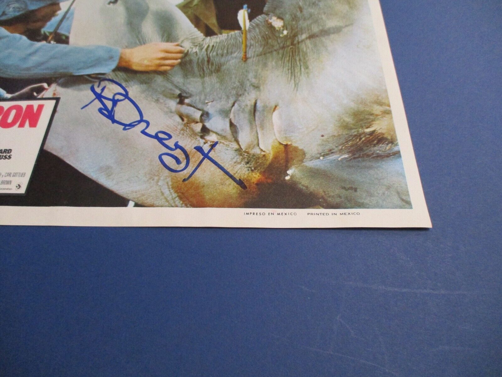 Richard Dreyfuss JAWS autographed Signed Original Mexico Lobby Card 11x14 JSA