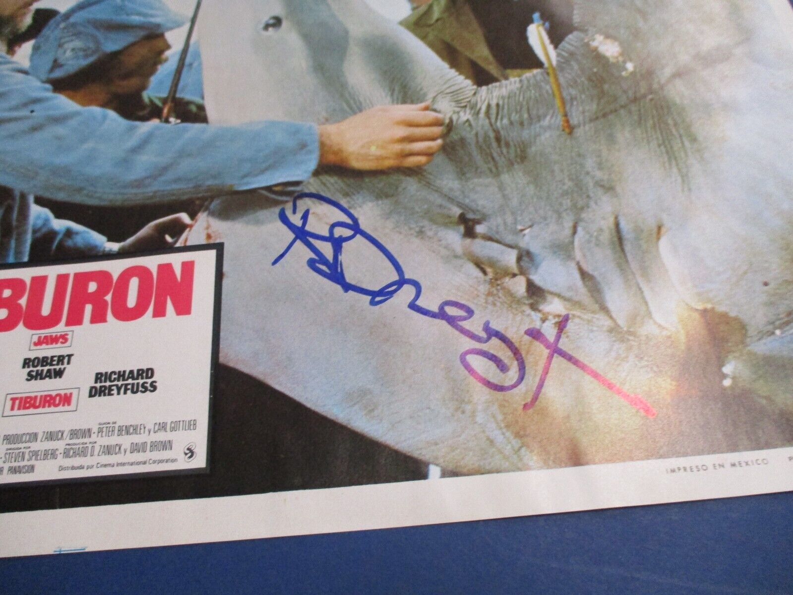 Richard Dreyfuss JAWS autographed Signed Original Mexico Lobby Card 11x14 JSA