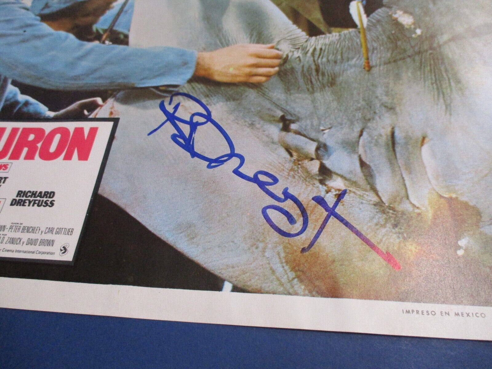 Richard Dreyfuss JAWS autographed Signed Original Mexico Lobby Card 11x14 JSA