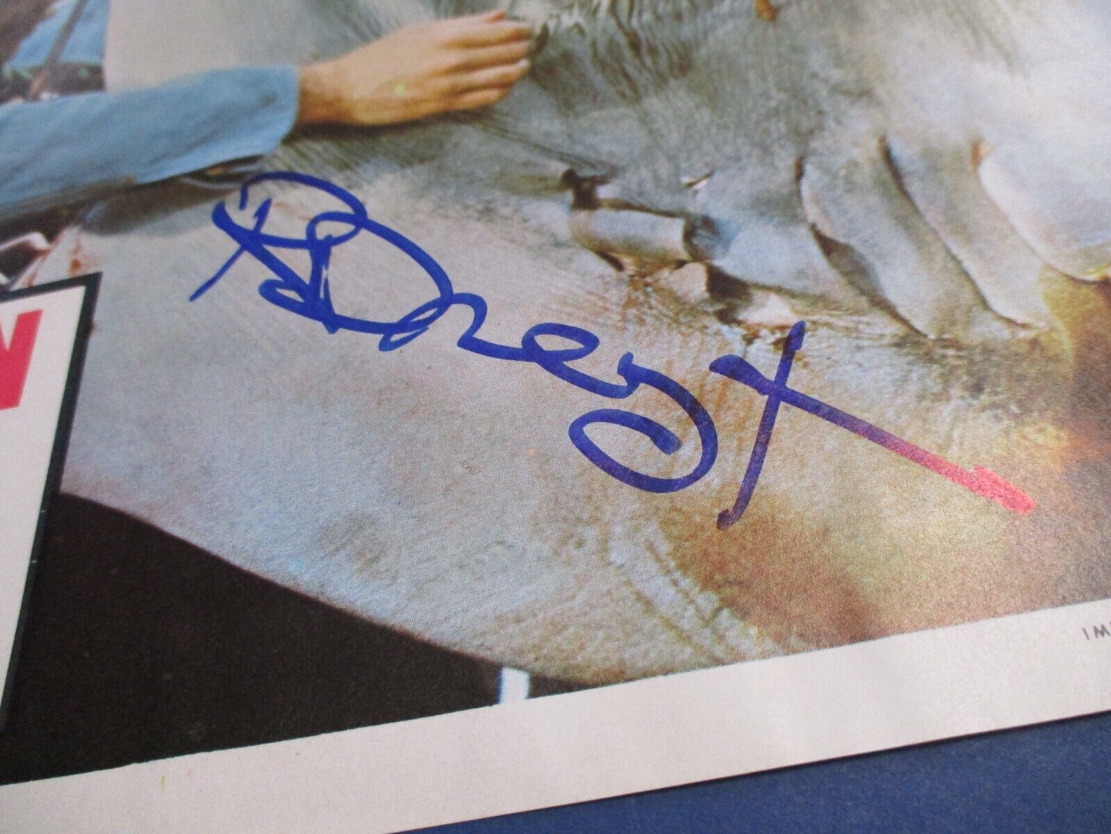 Richard Dreyfuss JAWS autographed Signed Original Mexico Lobby Card 11x14 JSA