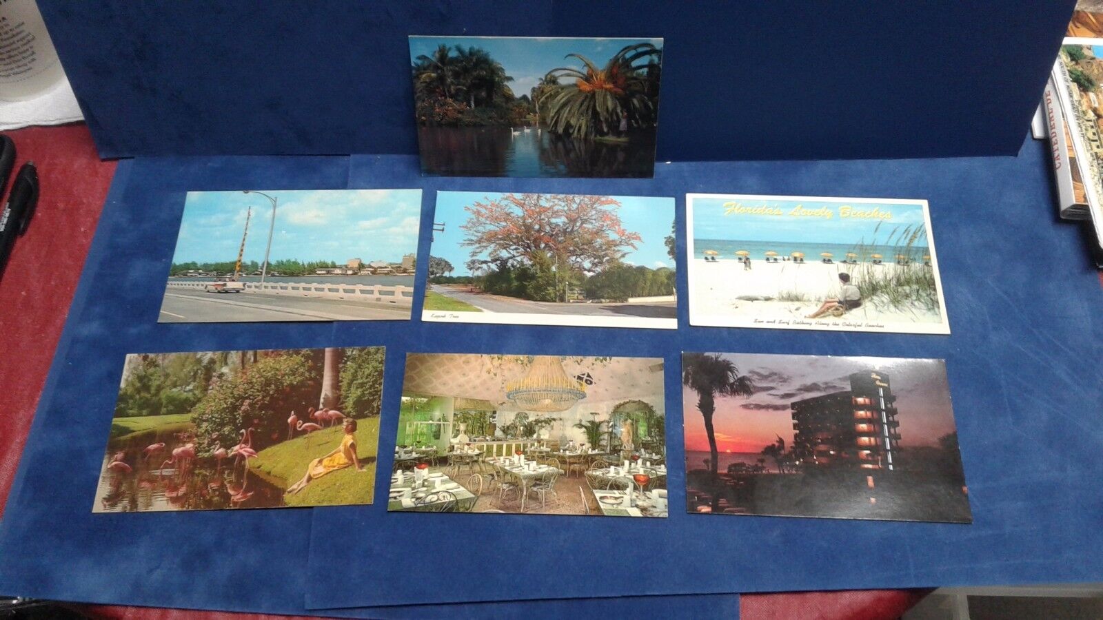 Vintage Saint Petersburg Sarasota Florida Postcards total of 7