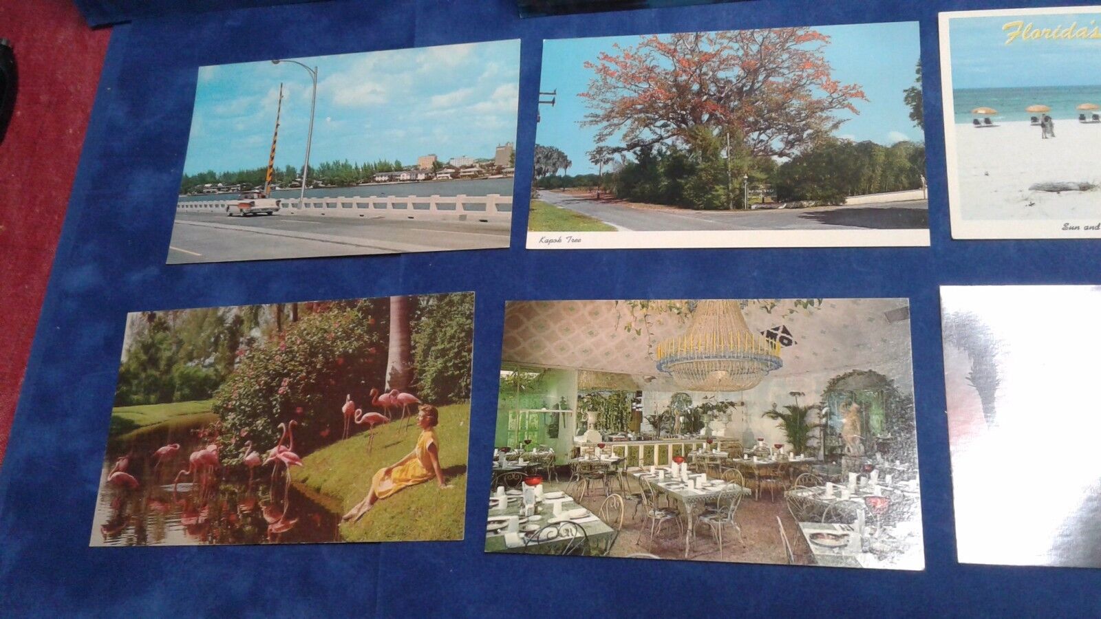 Vintage Saint Petersburg Sarasota Florida Postcards total of 7