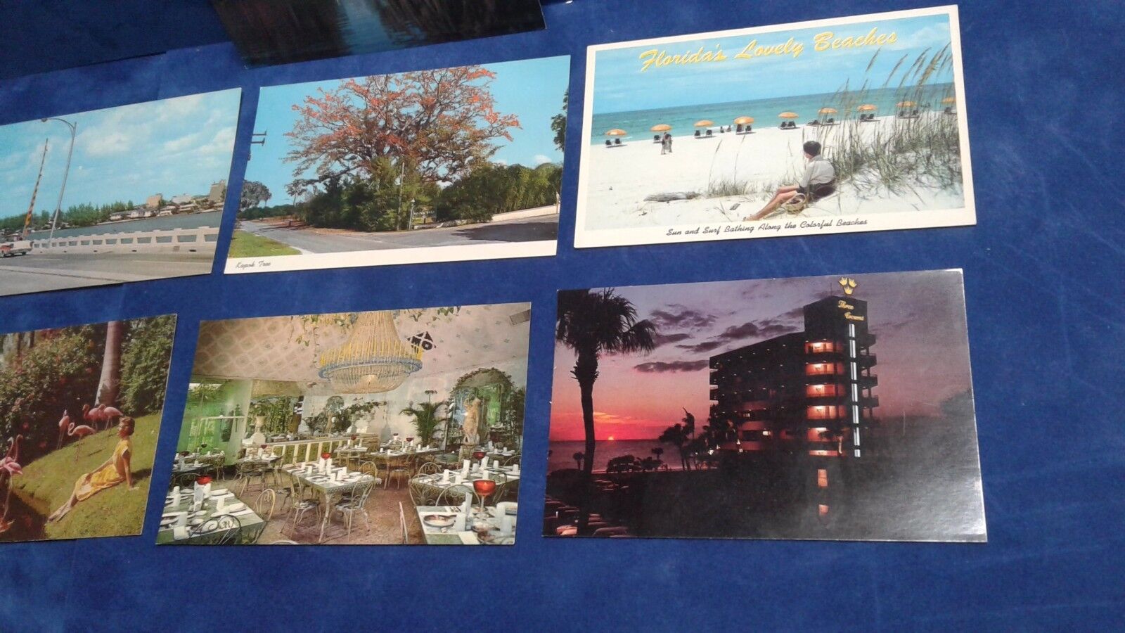 Vintage Saint Petersburg Sarasota Florida Postcards total of 7