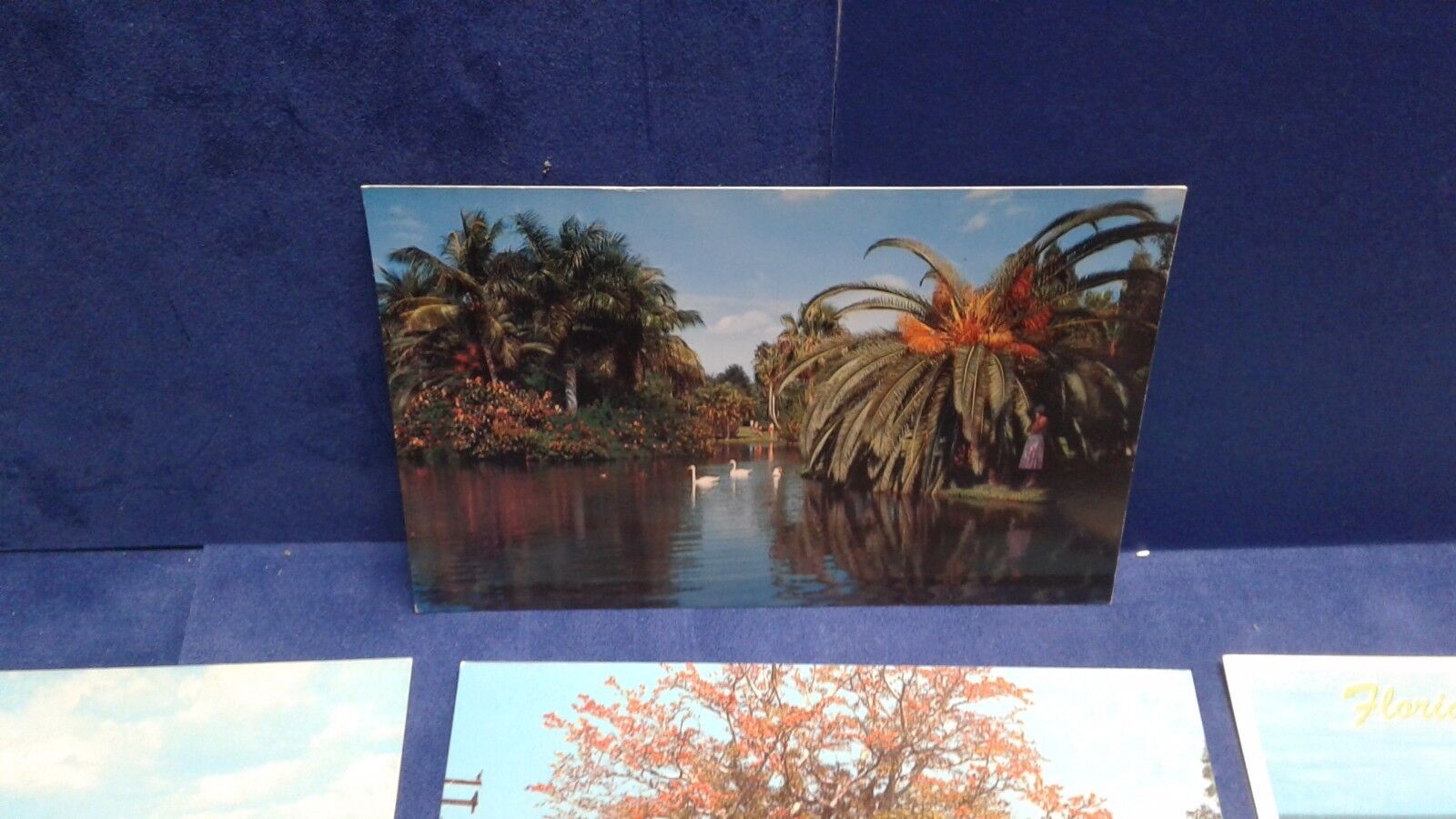 Vintage Saint Petersburg Sarasota Florida Postcards total of 7