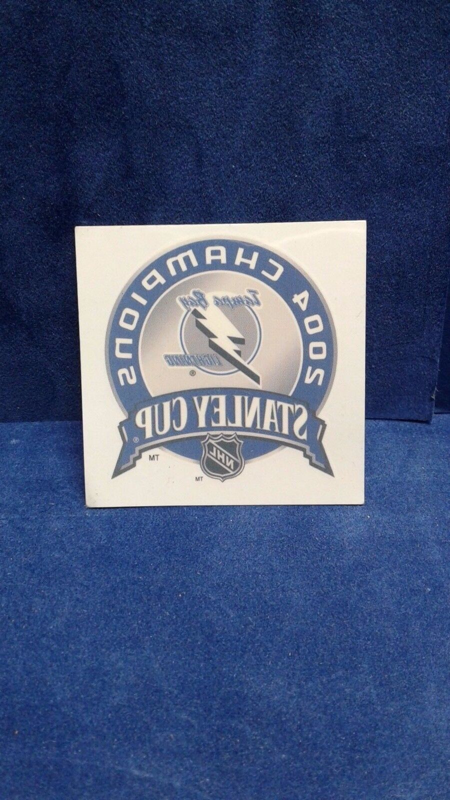 2004 NHL STANLEY CUP CHAMPIONSHIP TAMPA BAY LIGHTNING TATTOO LOT of 10