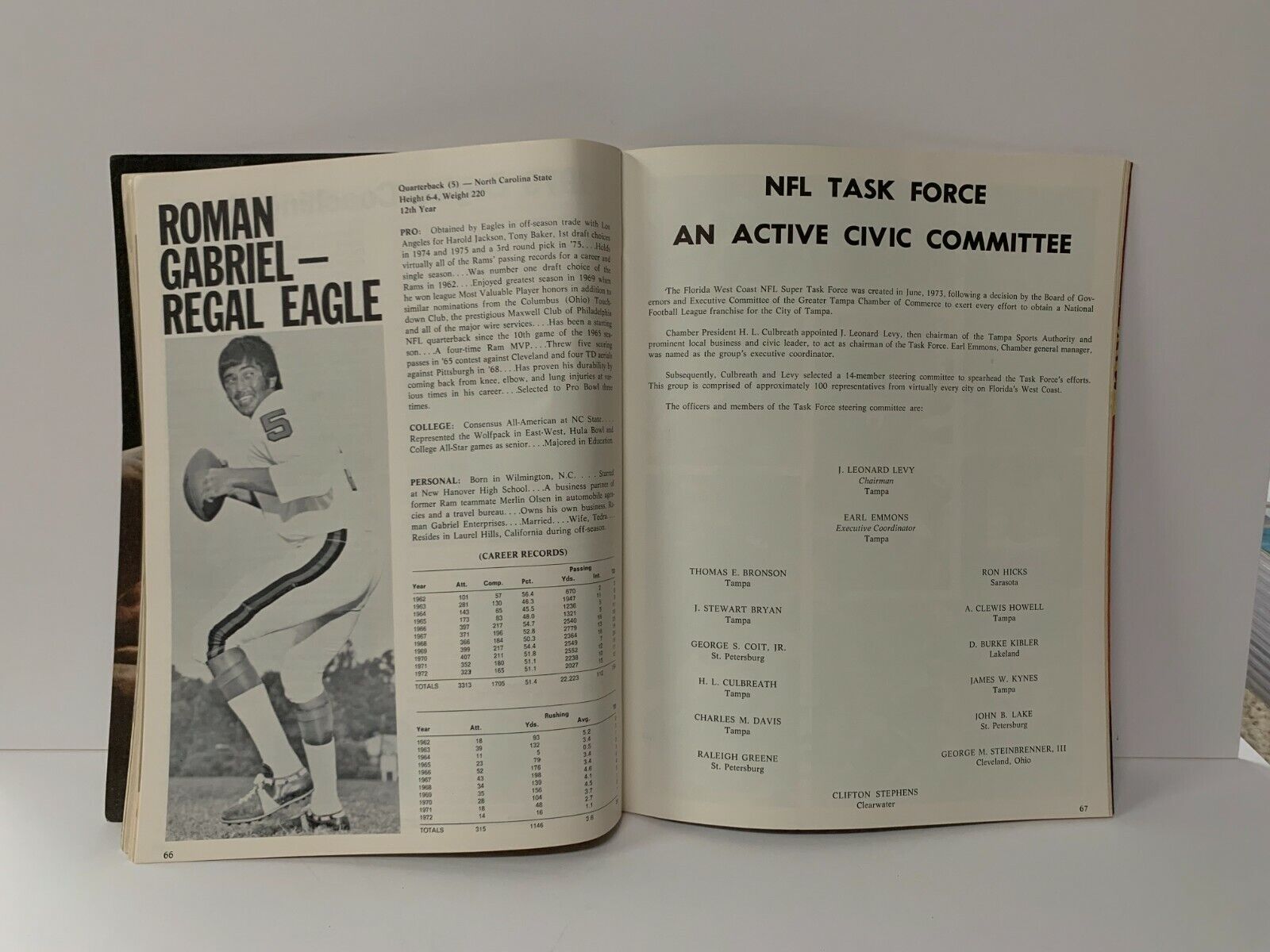 1973 NY Jets Vs Eagles Pro! Official NFL Magazine Tampa Stadium RARE Program EX