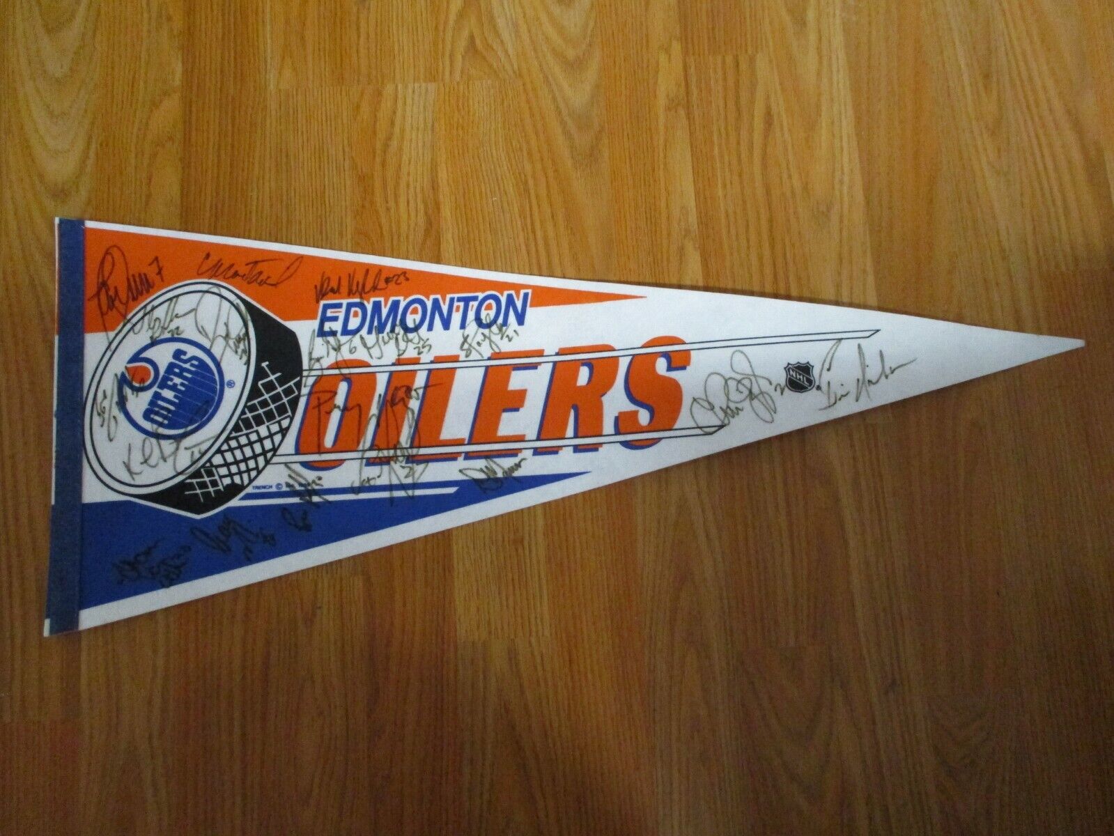 1992-1993 Edmonton Oilers Team Signed Felt Pennant 18 Autographs Trench