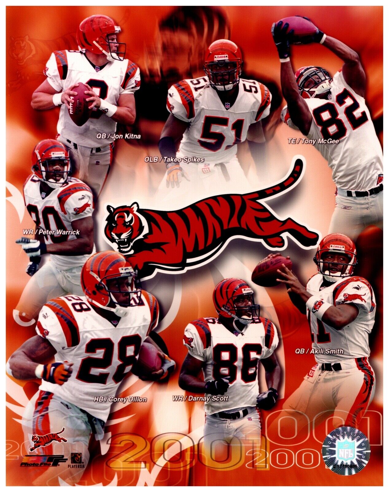 2001 Cincinnati Bengals Team Composite Unsigned Photo File 8x10 Hologram Photo