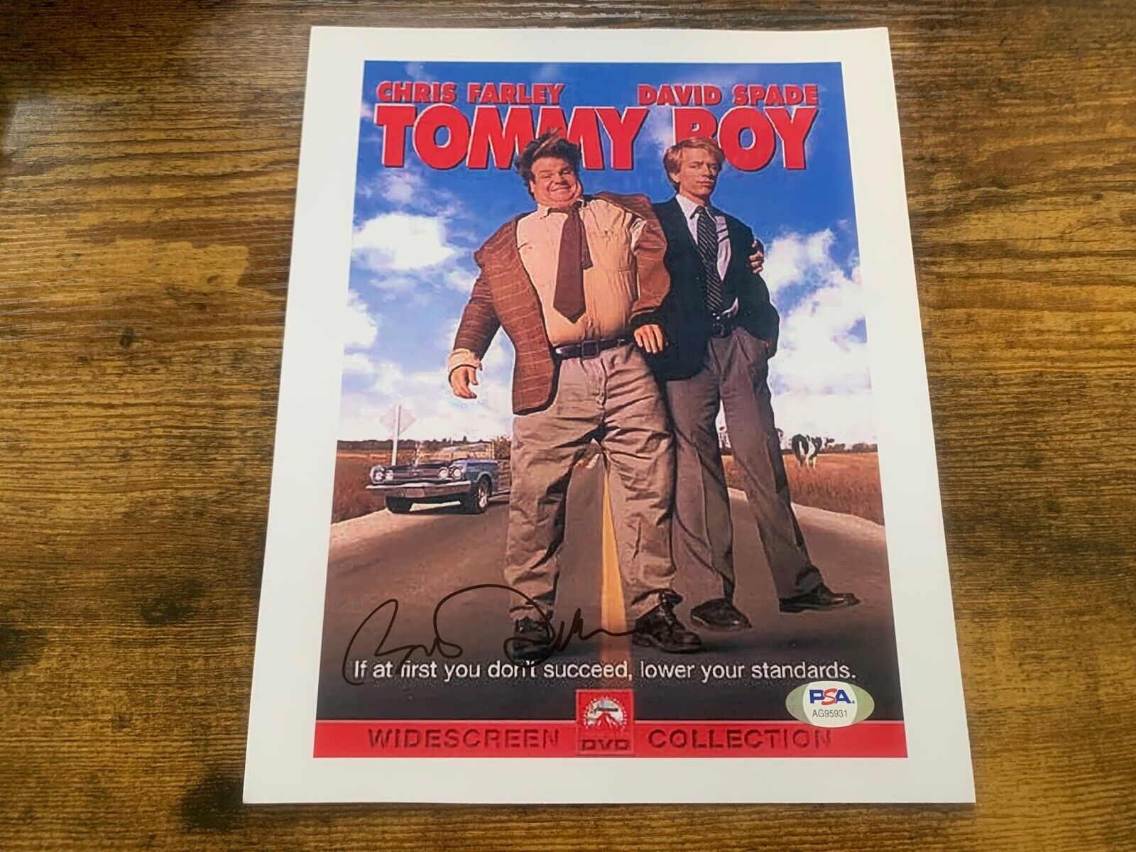 Autographed 8x10 Photo of Tommy Boy Signed by Bo Derek with PSA COA AG95931