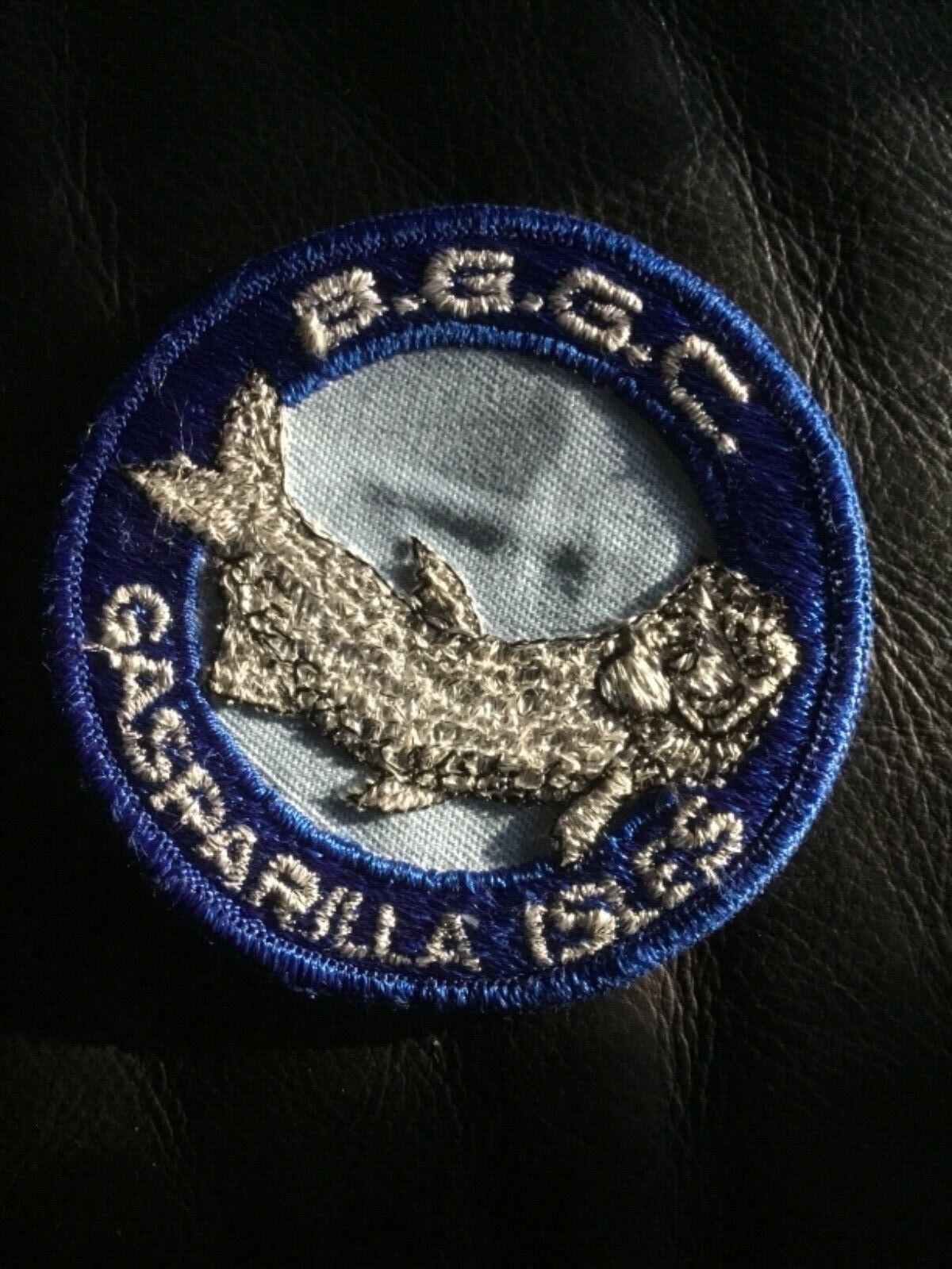 B.G.G.C. Gasparilla Isles Florida Patch Approximately 3 Inches