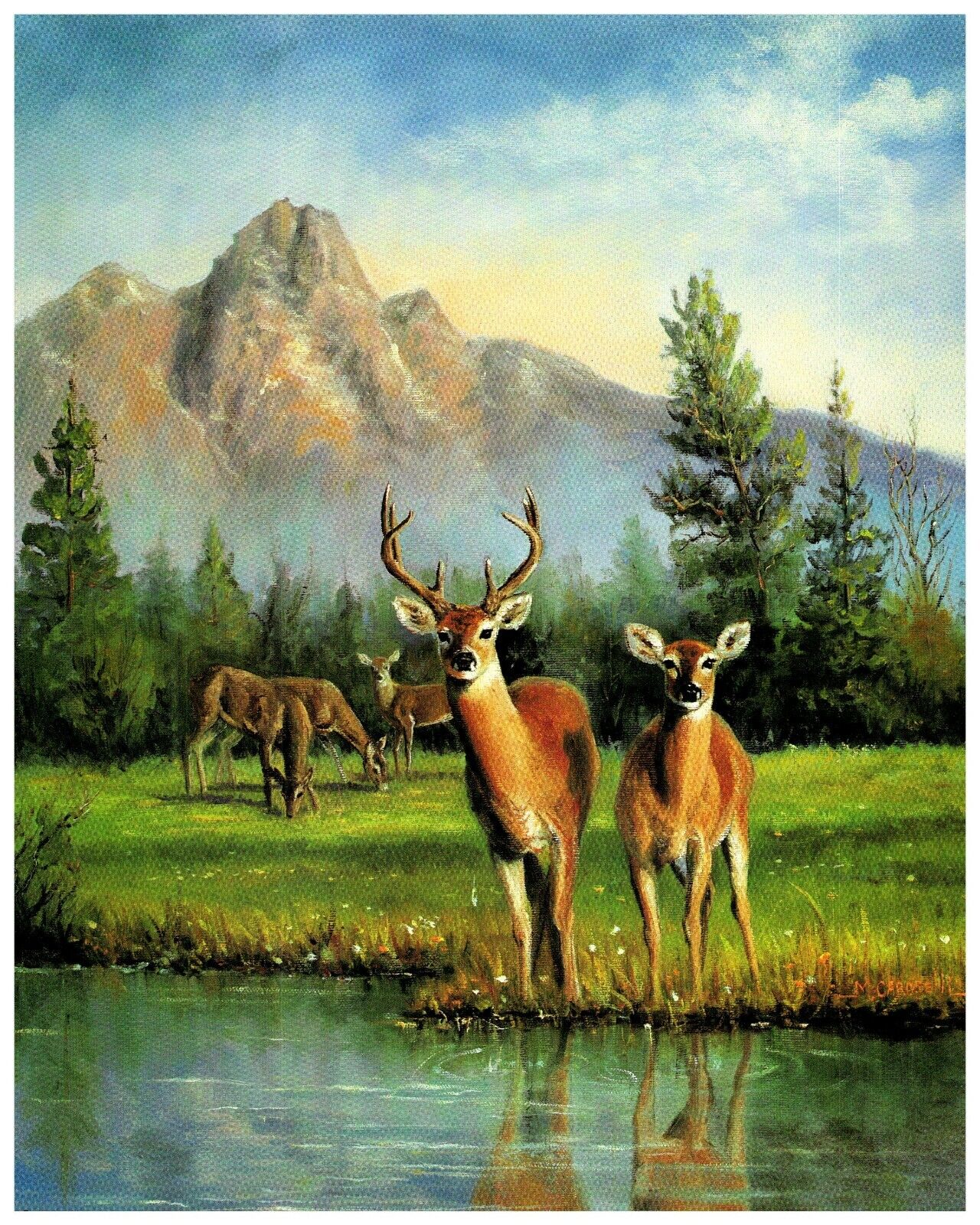 Deer Mountain Forest 8x10 1992 Vintage Scafa-Tornabene Art Publishing Litho