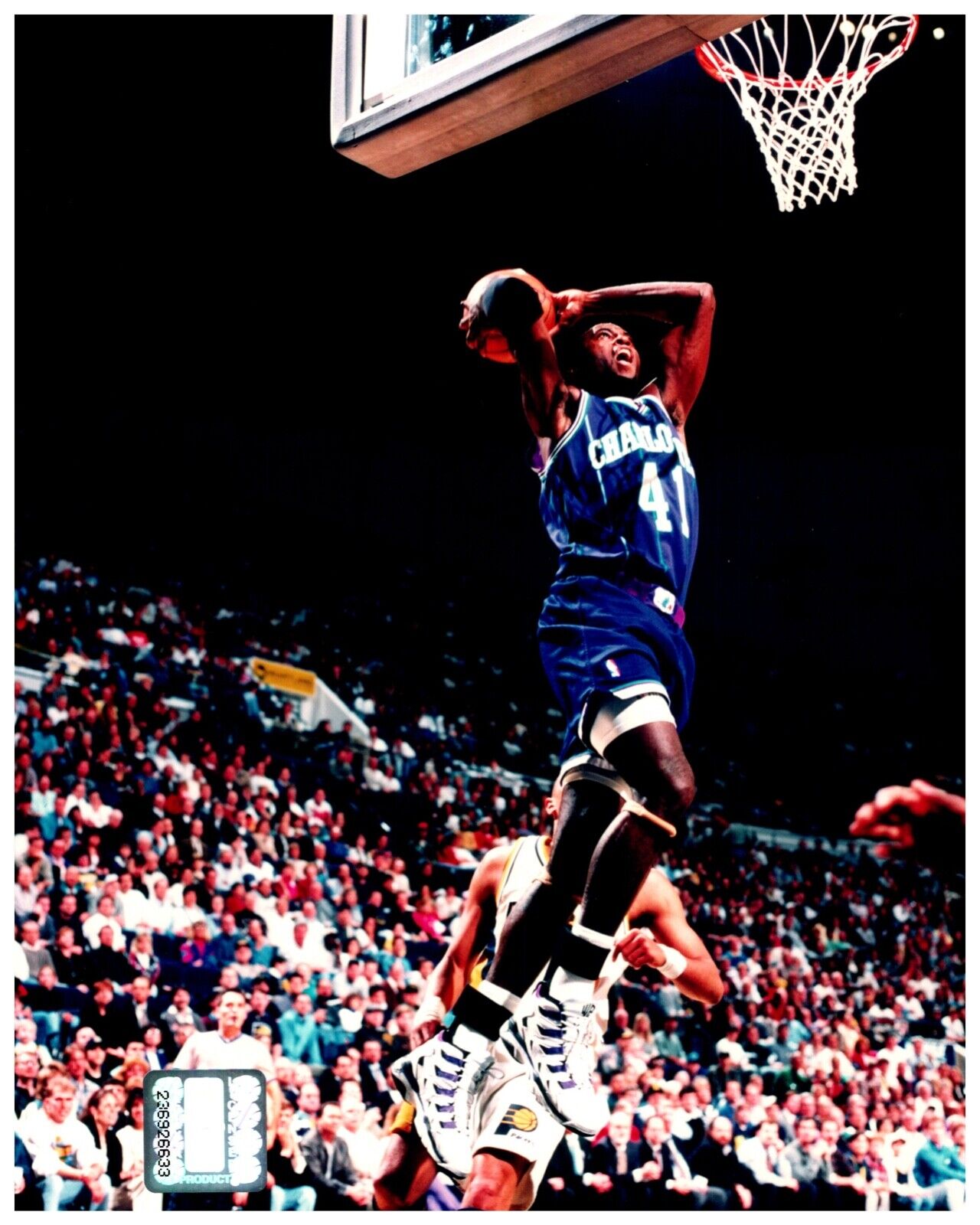 Glen Rice Charlotte Hornets Unsigned 8x10 Sports Photo NBA Hologram Sticker