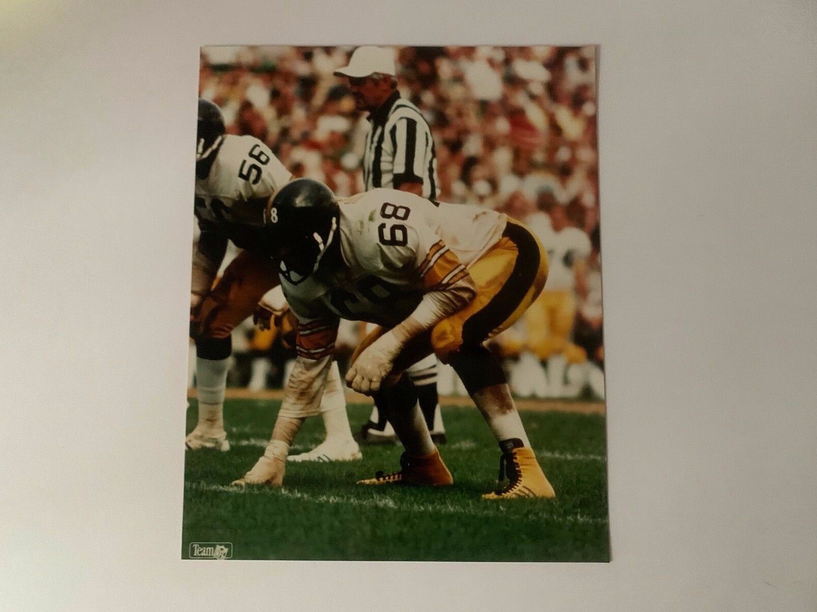 LC Greenwood Pittsburgh Steelers NFL Sports Football 8x10 Color Photo AGFA Paper