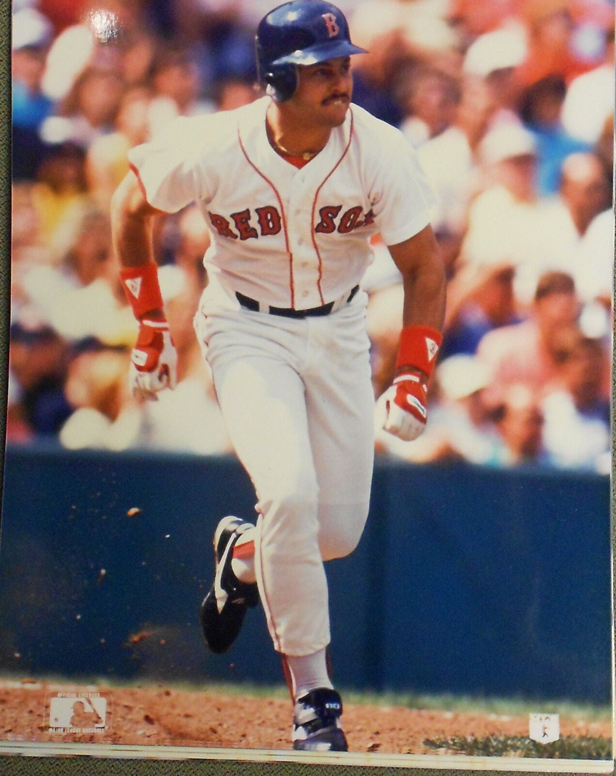 Mike Greenwell Boston Red Sox 8x10 Color Photo GATOR Photo 8