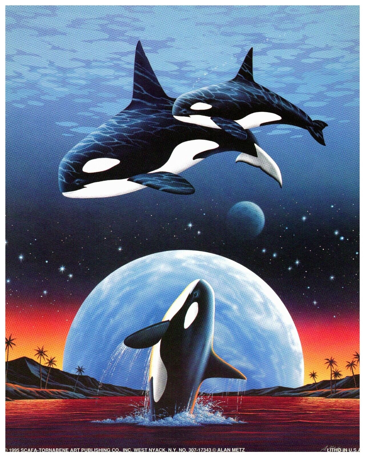Orca Whale Ocean Sunset 8x10 1995 Vintage Scafa-Tornabene Art Publishing Litho
