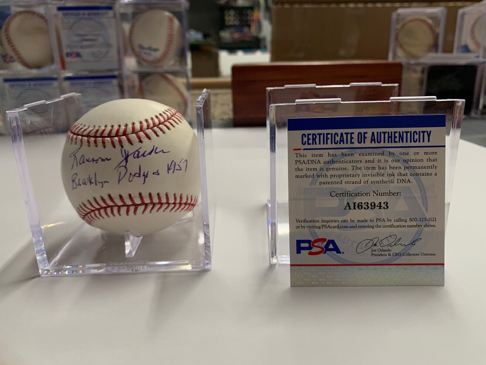 Ranson Jackson 1957 Brooklyn Dodgers MLB Allen Selig Baseball PSA Certified