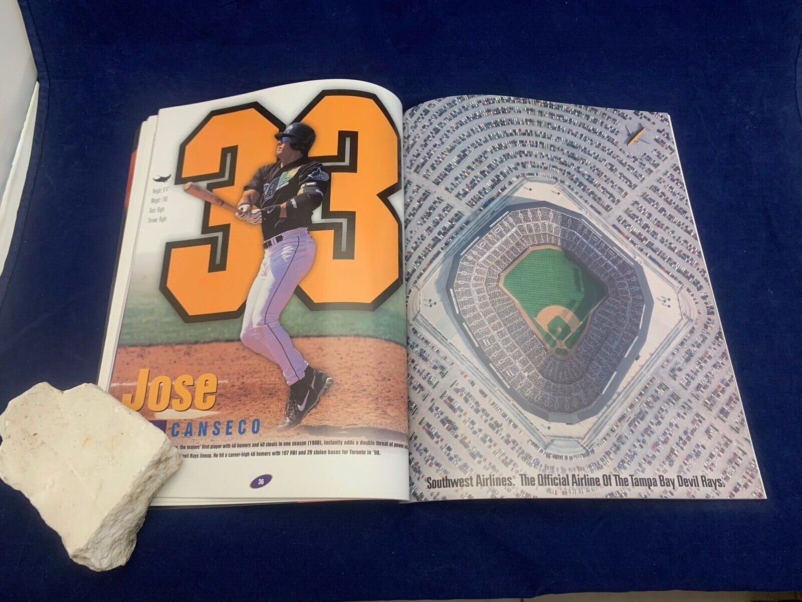 Tampa Day Devils Rays 1999 Official Yearbook Publication Boggs McGriff